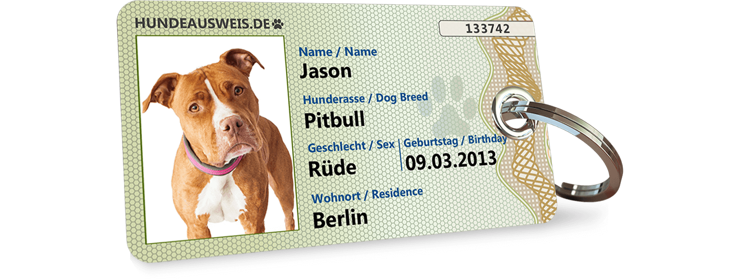 Hundeausweis 🐶💗 Der süße Ausweis für deinen Hund!