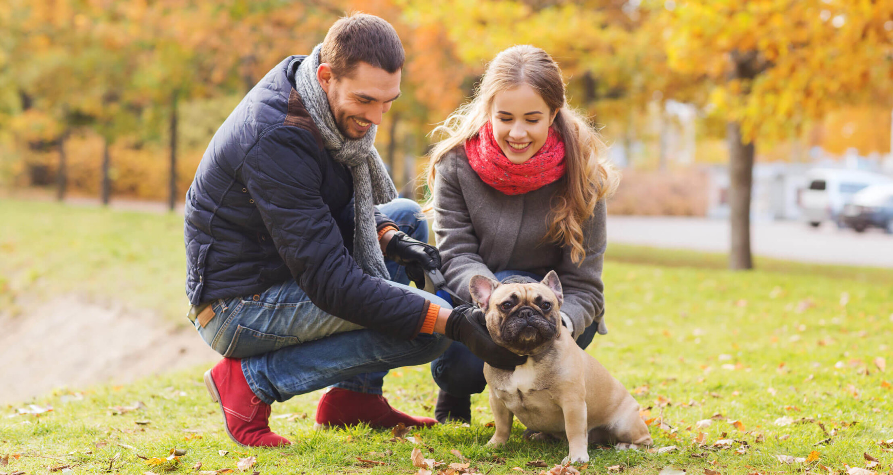 Zwei Menschen im Park welche auf einer Wiese knien und einen Hund der Rasse Mops streicheln. Die zwei Menschen sind dabei den Hundeausweis zu betrachten und darüber zu reden.